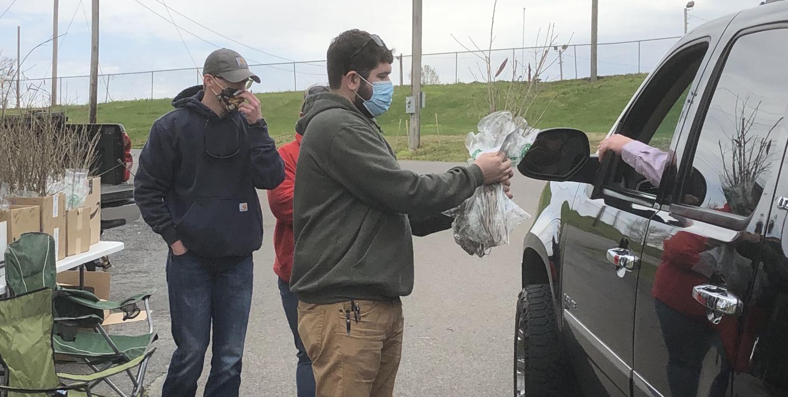 Free Trees